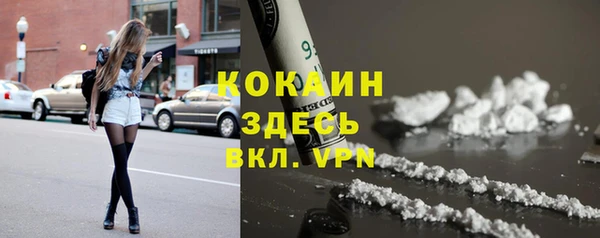 прущие крисы Кулебаки