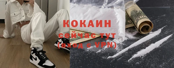 прущие крисы Кулебаки
