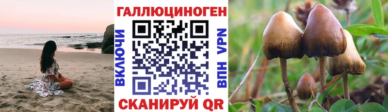 Галлюциногенные грибы мицелий  Купить закладки  Алатырь 