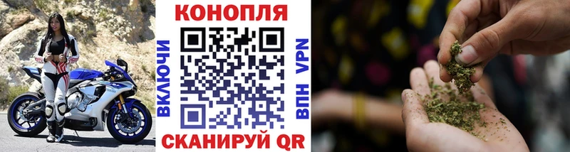 Купить где  Алатырь  Канабис гибрид 